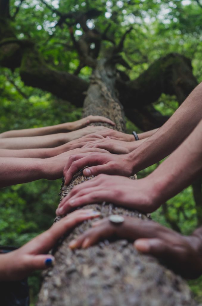 Multiple hands on a tree trunk of a native UK tree